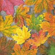 Napkins - Maple leafs