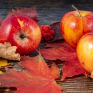 Napkins - Autumn Apples