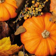 Napkins - Fall Pumpkins