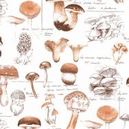 Napkins - Mushrooms