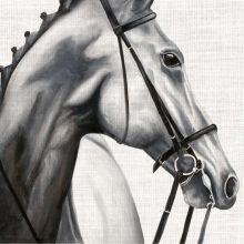 Napkins - Elegant horse