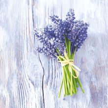 Napkins - Muscari bundle